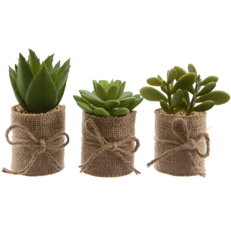 foto del prodotto vaso di juta con pianta grassa h12cm decorativa