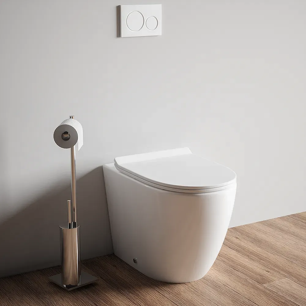 foto del prodotto vaso filo muro in ceramica bianca con sedile copri-wc slim softclose roma