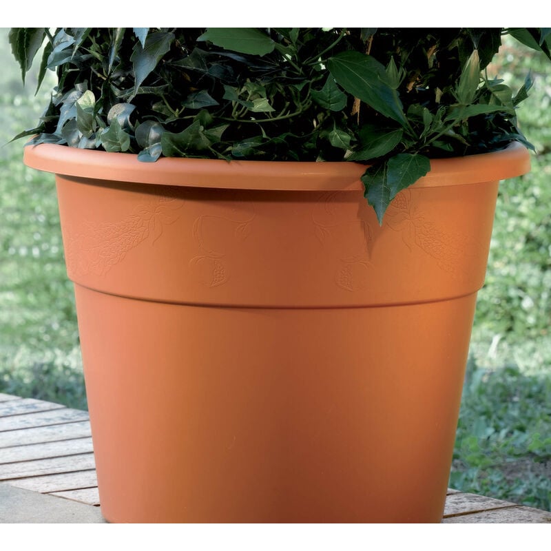 foto del prodotto vaso hedera diam.50 terracotta