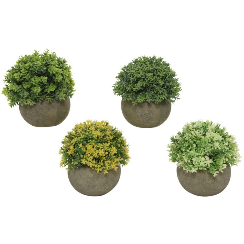 foto del prodotto vaso hedge d.12xh13cm con pianta.