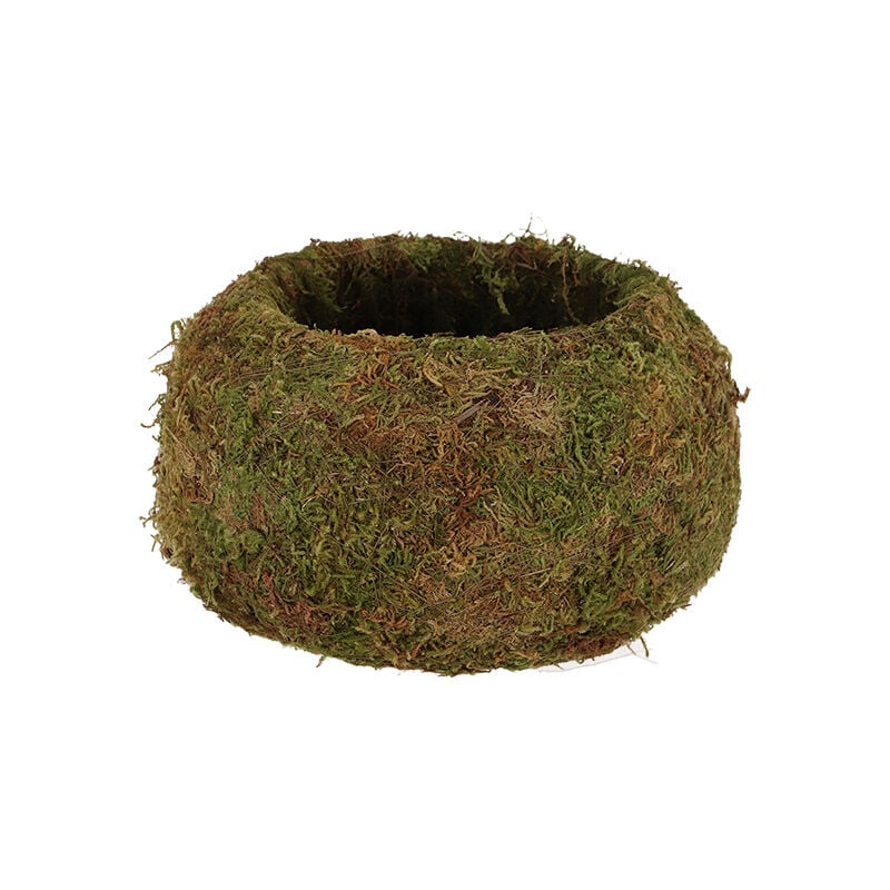 foto del prodotto vaso in muschio per kokedama 9cm