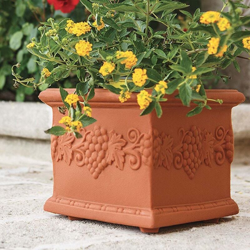 foto del prodotto vaso in polimero monacis quadro uva terracotta cm 25 23x23x20h