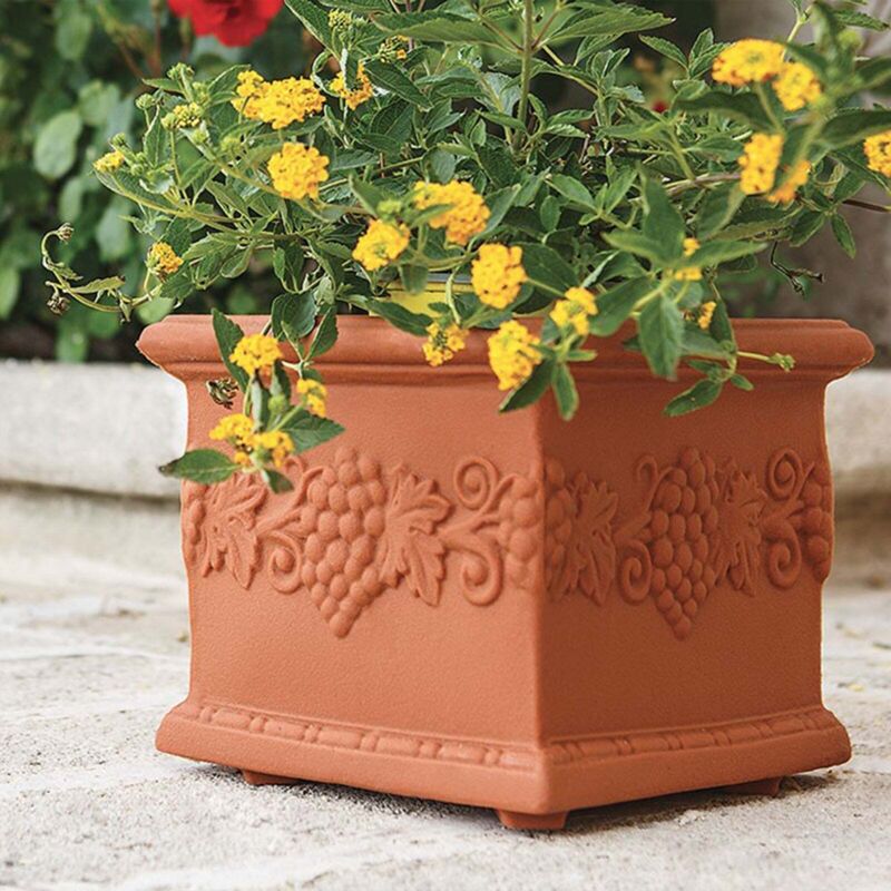 foto del prodotto vaso in polimero monacis quadro uva terracotta cm 35 35x35x29h
