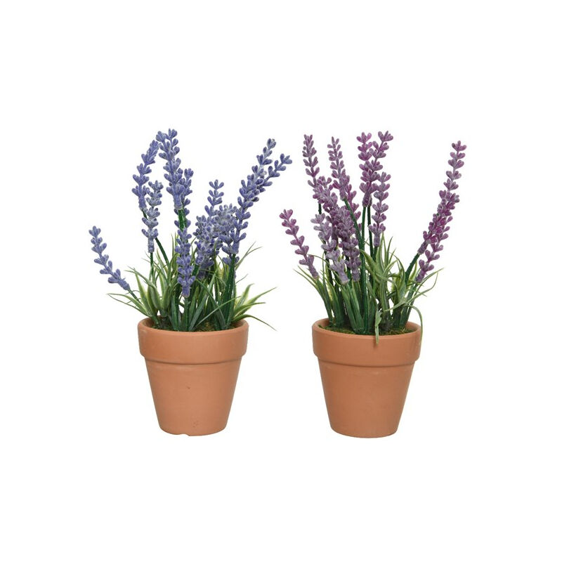 foto del prodotto vaso marrone con lavanda h18cm in 2 colori
