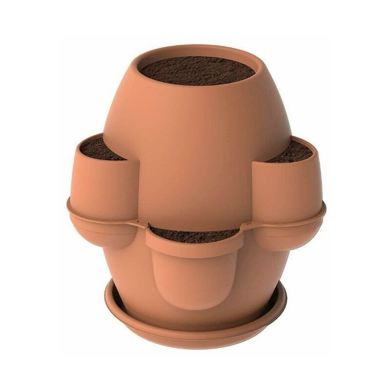 foto del prodotto vaso oasi cotto chiaro