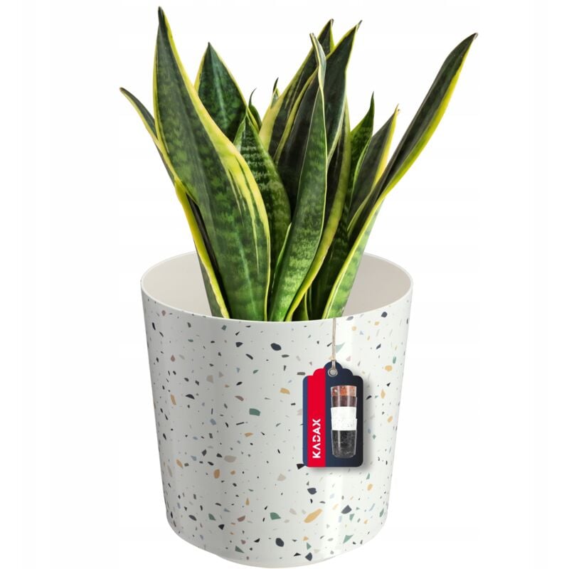 foto del prodotto vaso per fiori/piante, plastica, 3 dimensioni, 5 diversi design, vaso decorativo per piante, resistente ai raggi uv, diametro 19,5 cm, terrazzo