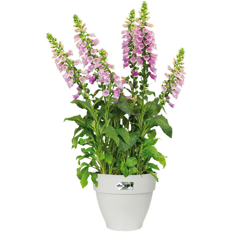foto del prodotto vaso per piante vibia campana bianco rotondo plastica riciclata sottovaso rotondo ovale balcone davanzale finestra varie misure rund 7 liter de 
