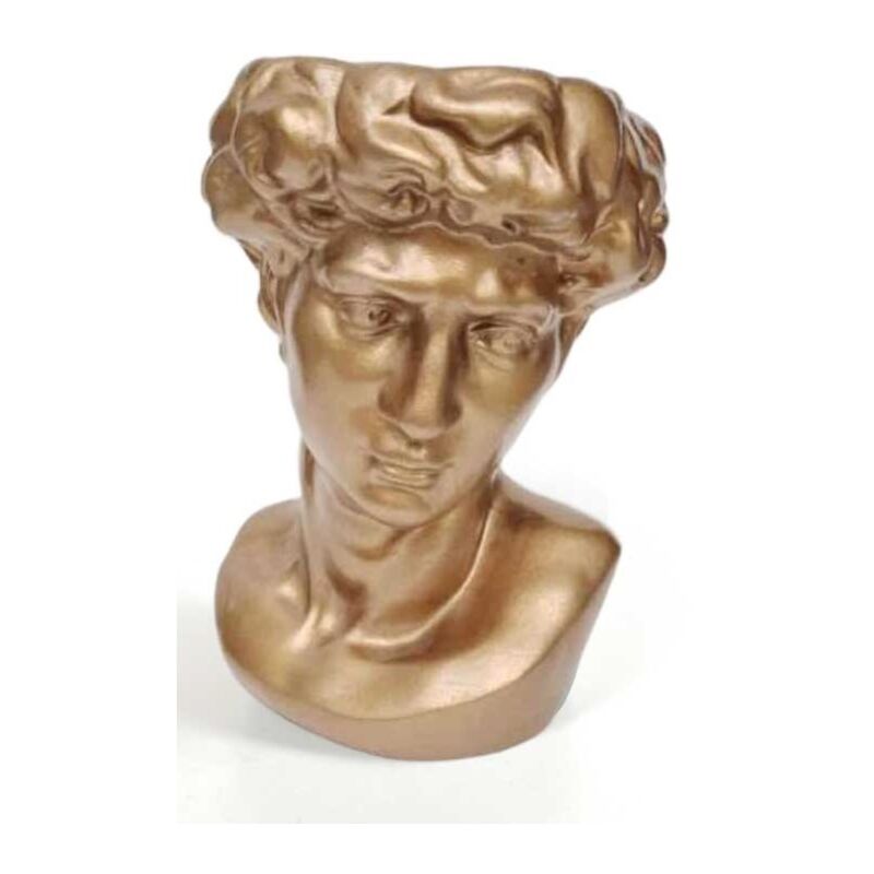 foto del prodotto vaso porta piante design testa di uomo base tonda 19x19x29 cm oro