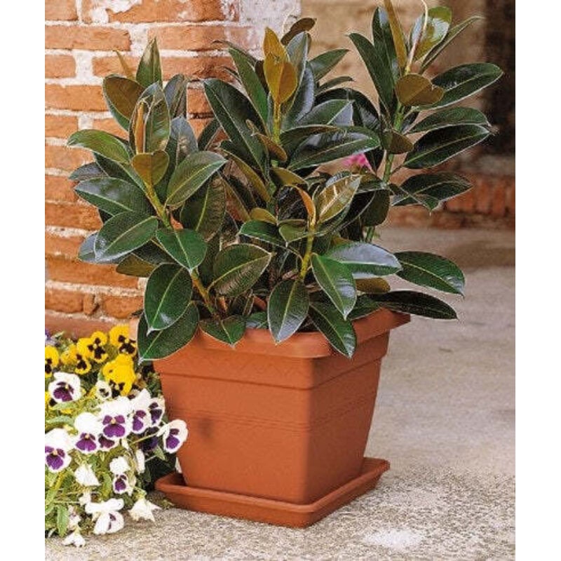 foto del prodotto vaso quadro atena 25 terracotta telcom