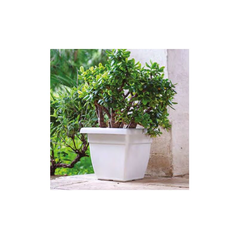 foto del prodotto vaso quadro atena 35 avano telcom