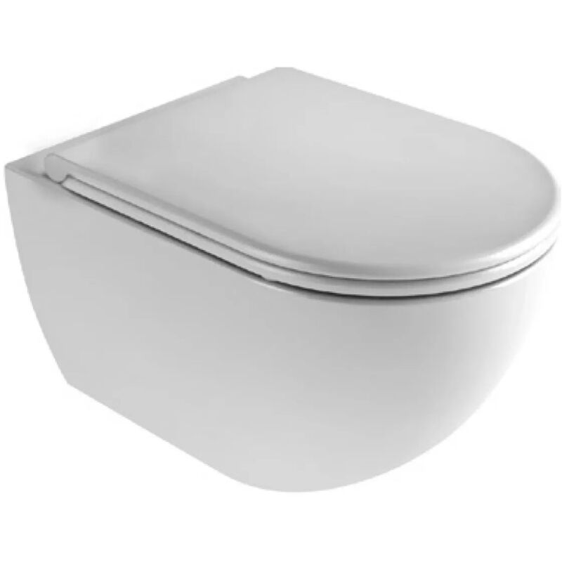 foto del prodotto vaso sospeso porcellana bianco serie comoda senza coprivaso azzurra