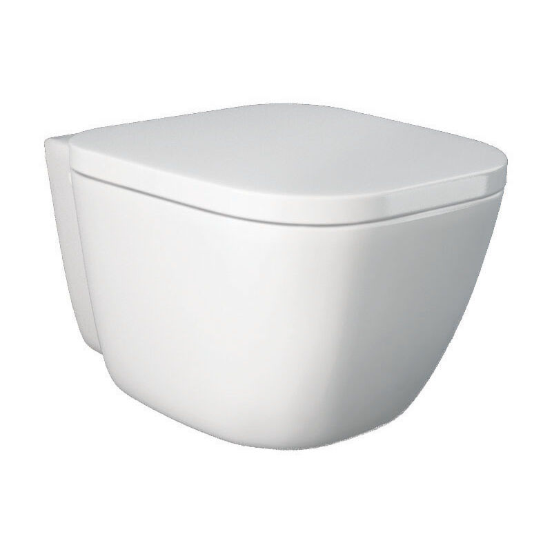 foto del prodotto vaso sospeso rimless serie one con fissaggio nascosto