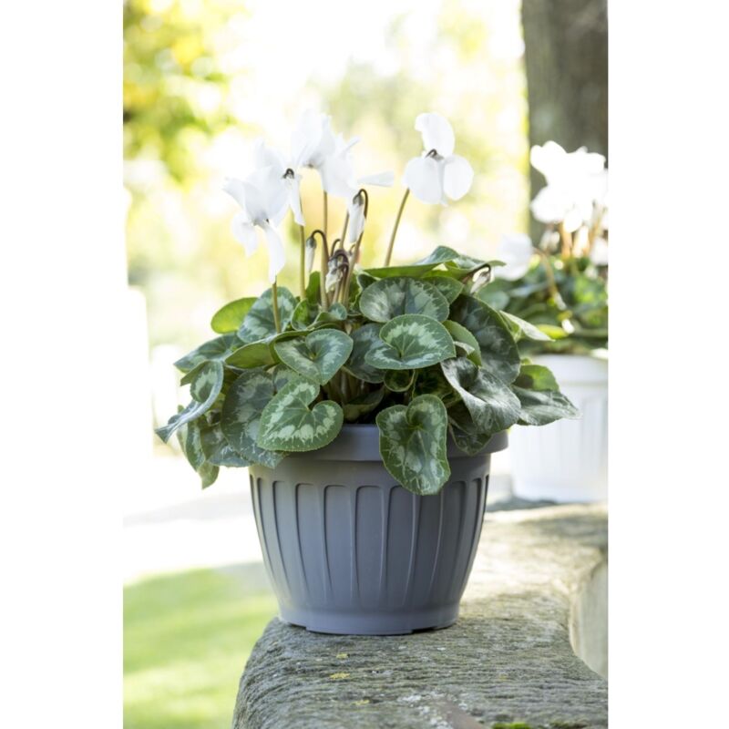 foto del prodotto vaso terra d. 25 grigio