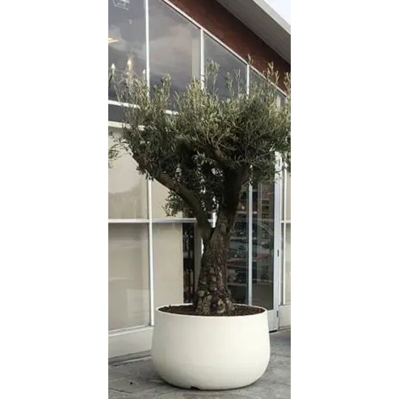 foto del prodotto vaso urbano acaya 84 in resina per piante di grosse dimensioni vasar by telcom colore bianco perla