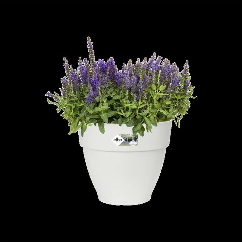 foto del prodotto vaso vibia campana round 20cm bianco