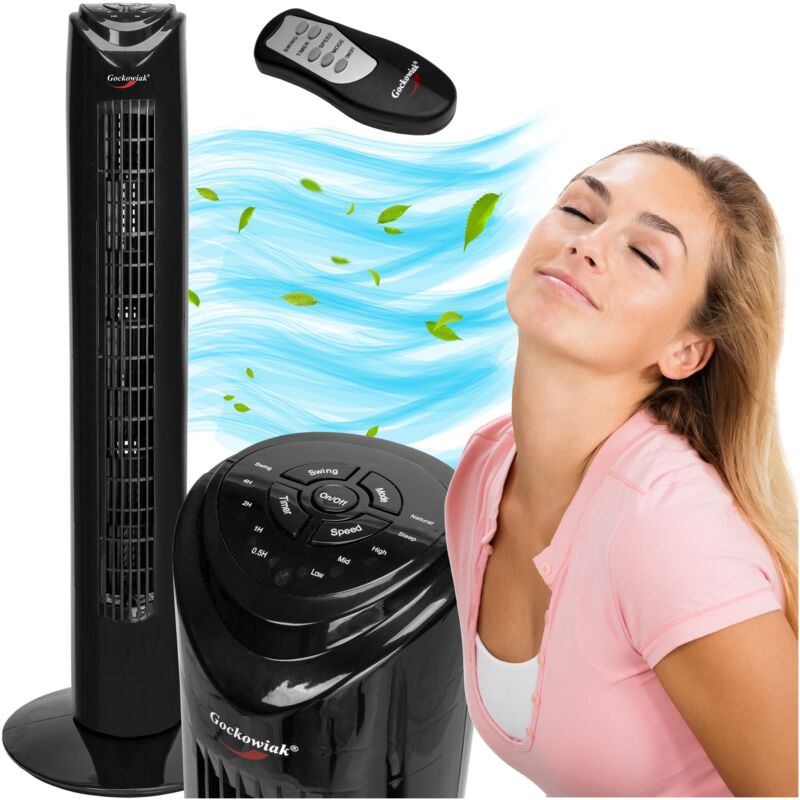 foto del prodotto ventilatore a colonna calid, nero
