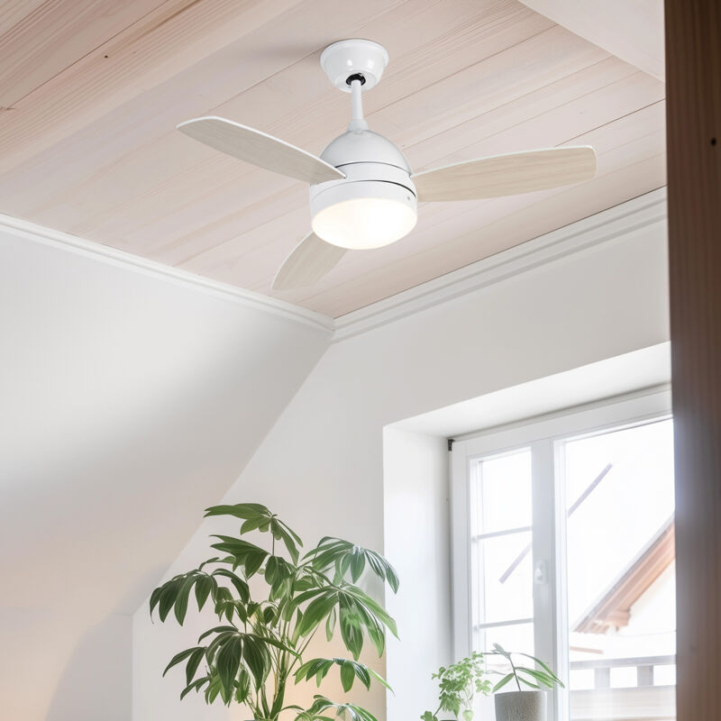 foto del prodotto ventilatori da soffitto rotar - moderno - legno,acciaio,plastico - bianco/marrone - tondo max. 2 x watt - qazqa