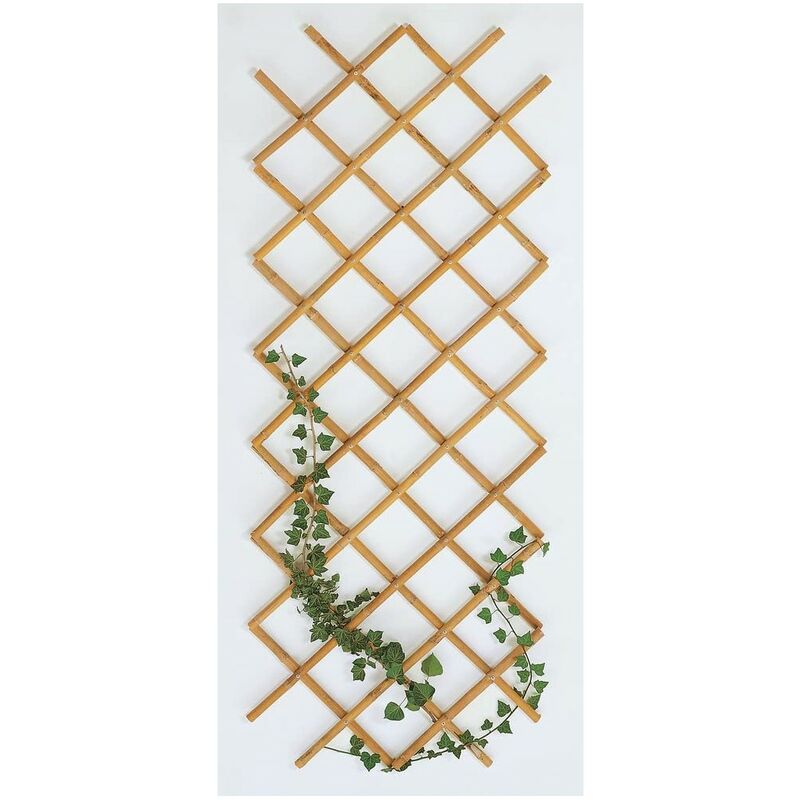 foto del prodotto verdelook traliccio estensibile regolabile 180x240 cm bamboo