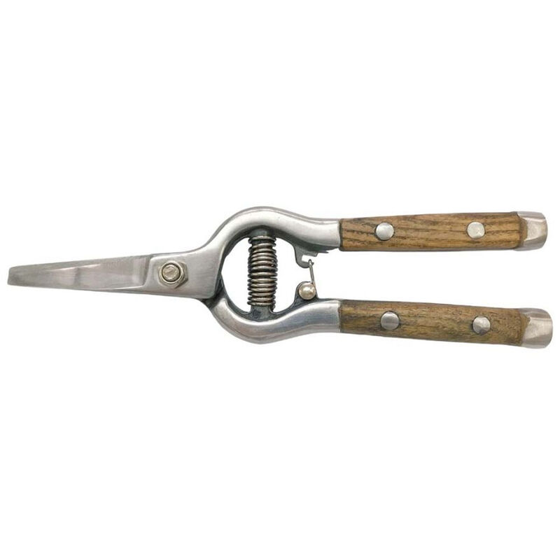 foto del prodotto verdemax forbice per fiori con manico in legno 20,5cm