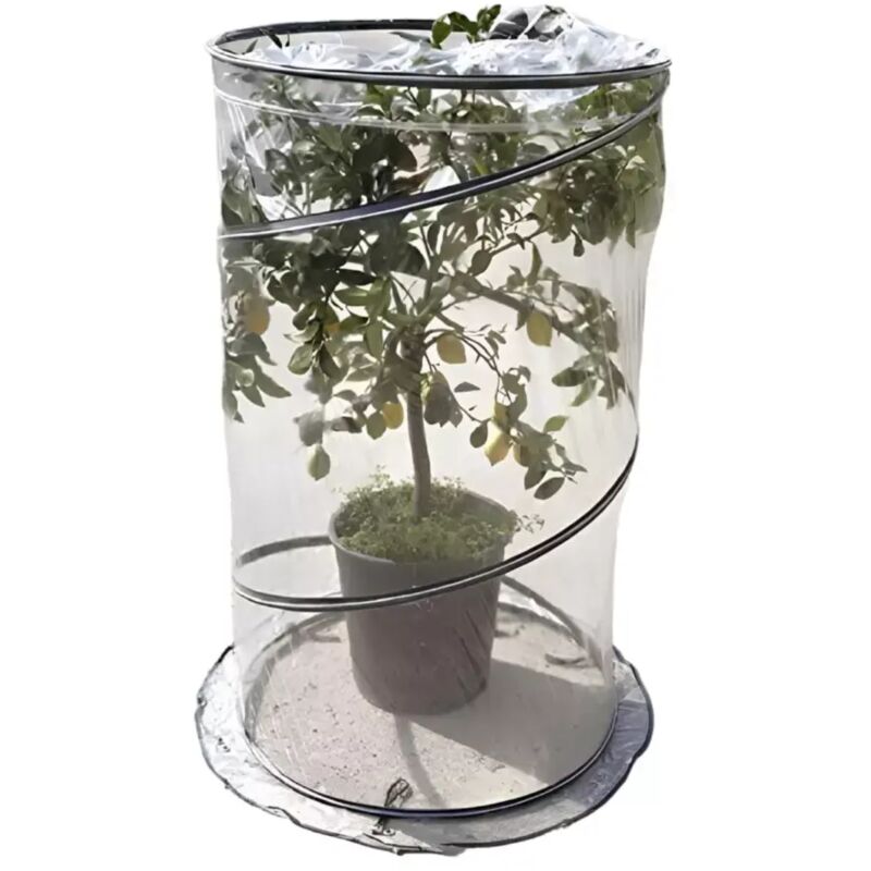 foto del prodotto verdemax serra pop up citrus protezione piante balcone terrazzo 90x150h cm 2643