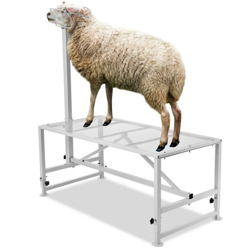 foto del prodotto vevor supporto bestiame tavolo rifilatura capre 1925 x 584 mm regolabile bianco