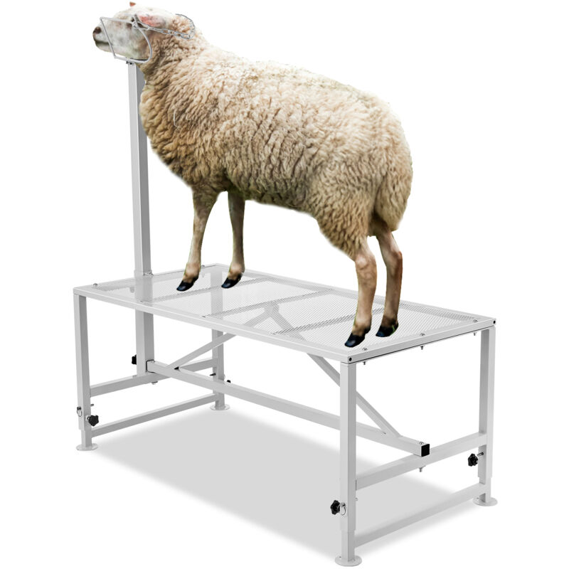 foto del prodotto vevor supporto per capre pecore, supporto 1295 x 584 mm, supporto per bestiame mungitura e tosatura del bestiame in metallo altezza regolabile, con
