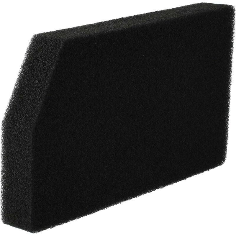 foto del prodotto vhbw filtro compatibile con rowenta ergo force cyclonic ro6753ea 410, ro6789ea 410, ro6799ea 410 aspirapolvere filtro in gommapiuma