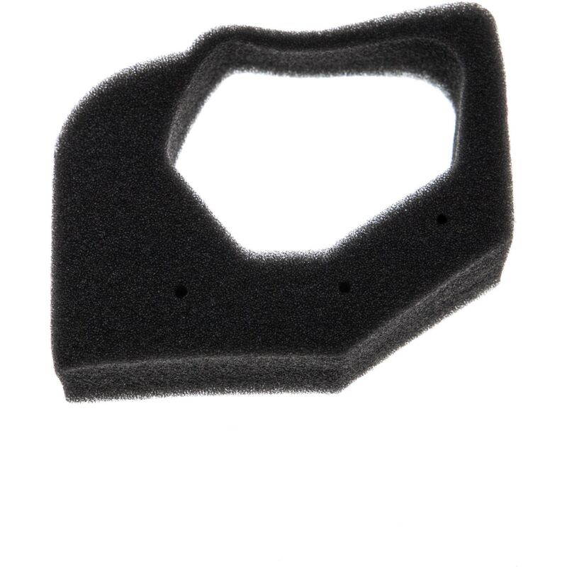foto del prodotto vhbw filtro in spugna compatibile con honda gx25nt, hht25s, gx25n, ums425, umk425, gx25, ult425, hht25 decespugliatore
