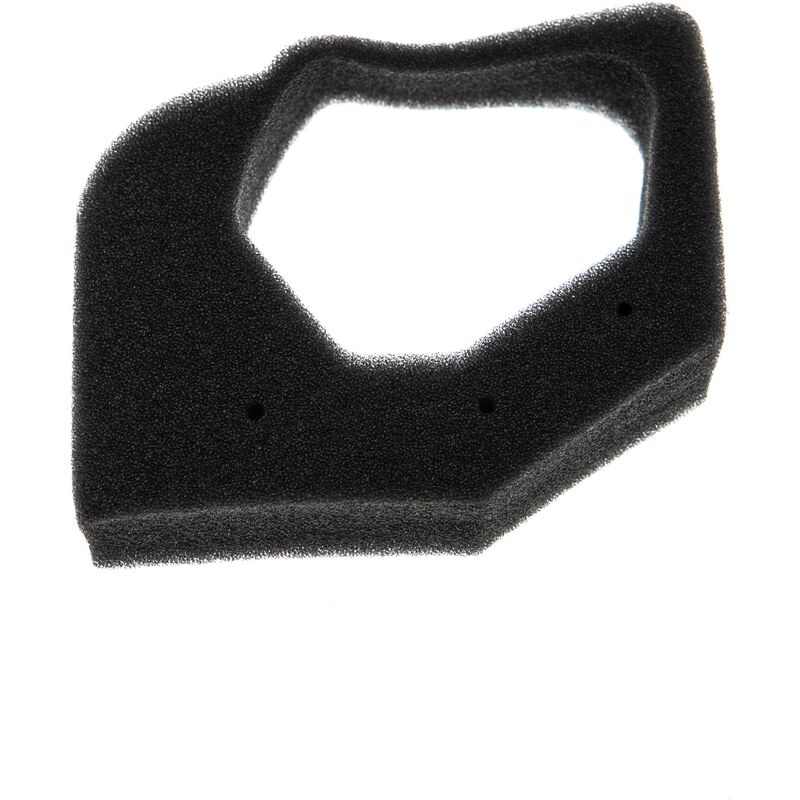 foto del prodotto vhbw filtro in spugna sostituisce honda 17211 z0h 000 per decespugliatore