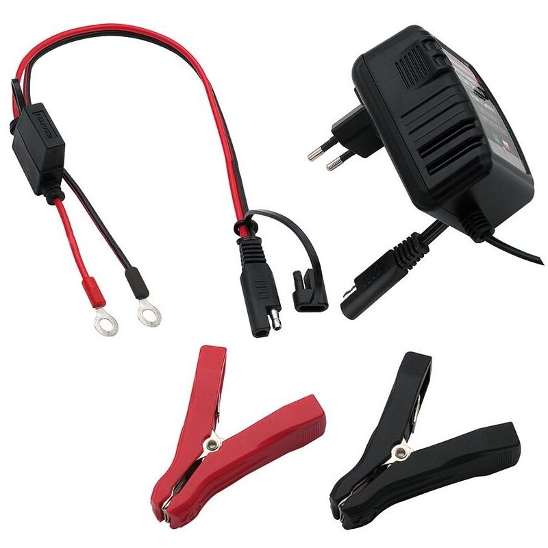 foto del prodotto victory caricabatterie per batterie al piombo per auto e moto 6v 12v 0,75a con connettori ad occhiello e pinze a coccodrillo