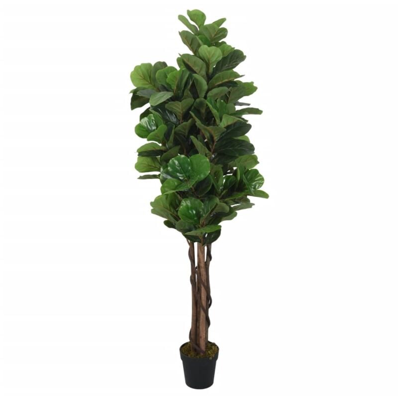 foto del prodotto vidaxl albero ficus lyrata 232 foglie 180 cm verde