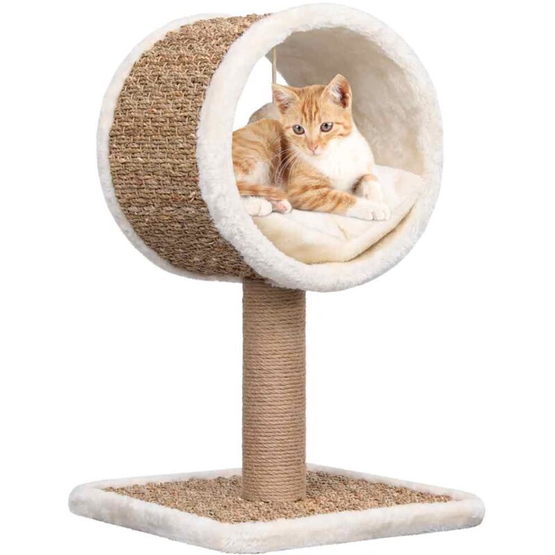 foto del prodotto vidaxl albero per gatti con tunnel in alto e giocattolo 56cm in giunco