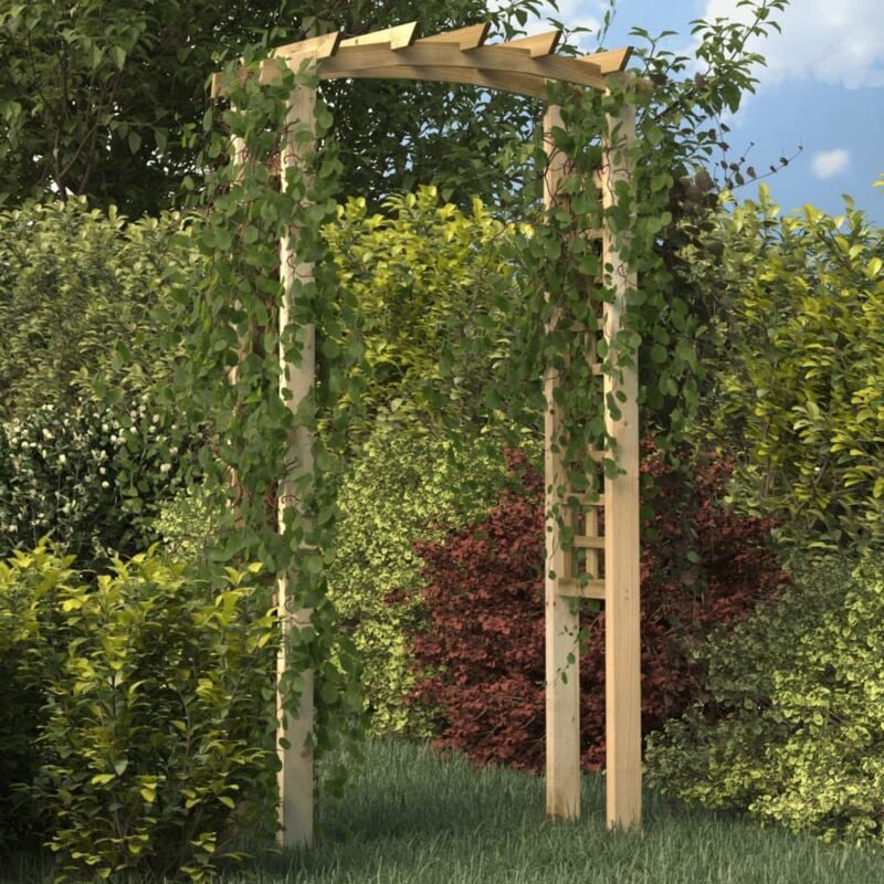 foto del prodotto vidaxl arco a traliccio 110x60x210 cm in pino massello impregnato