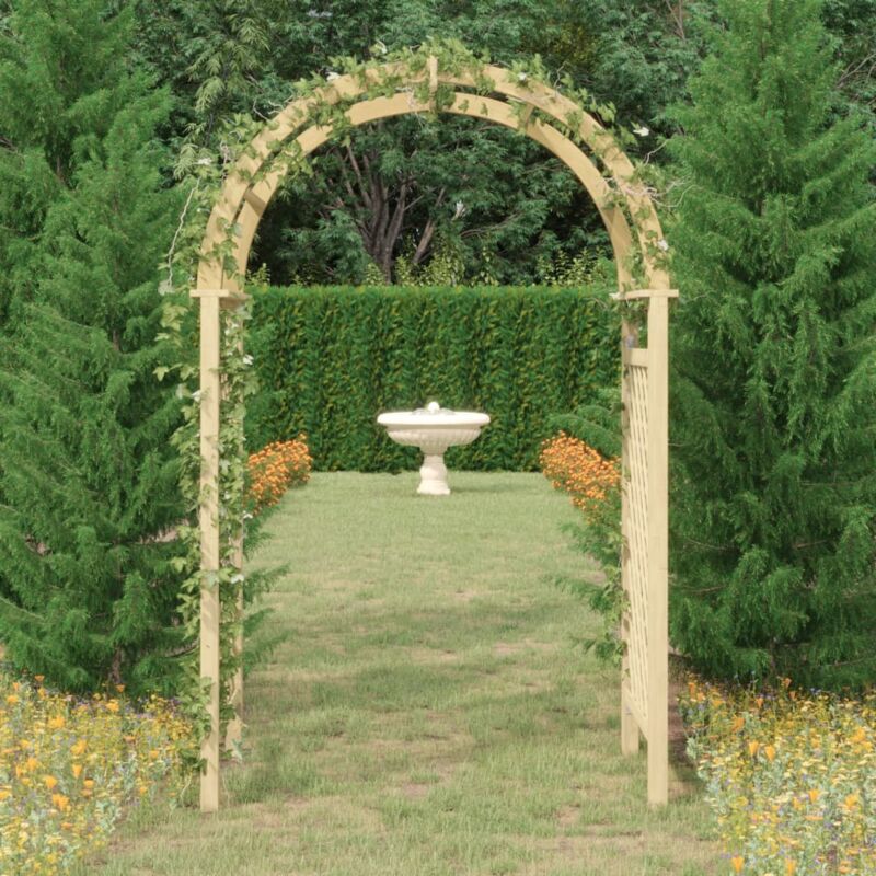 foto del prodotto vidaxl arco con traliccio 141x97x243 cm in legno di pino impregnato
