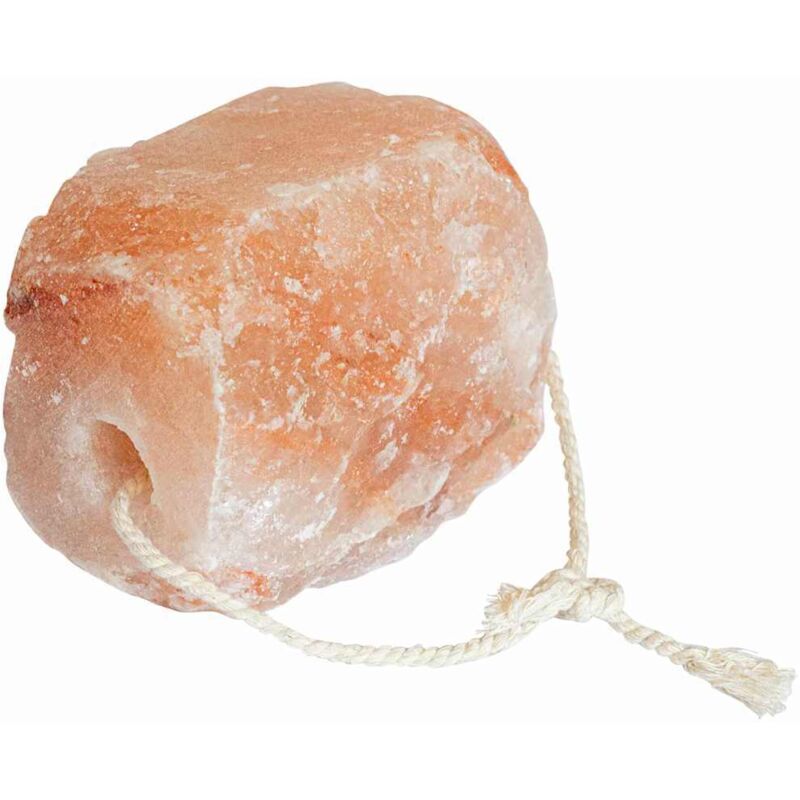 foto del prodotto vidaxl blocchi di sale 8 pezzi con corde per bestiame 20 kg rosa