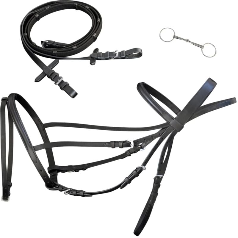 foto del prodotto vidaxl briglie in pelle con redini e morso nero per cavallo full