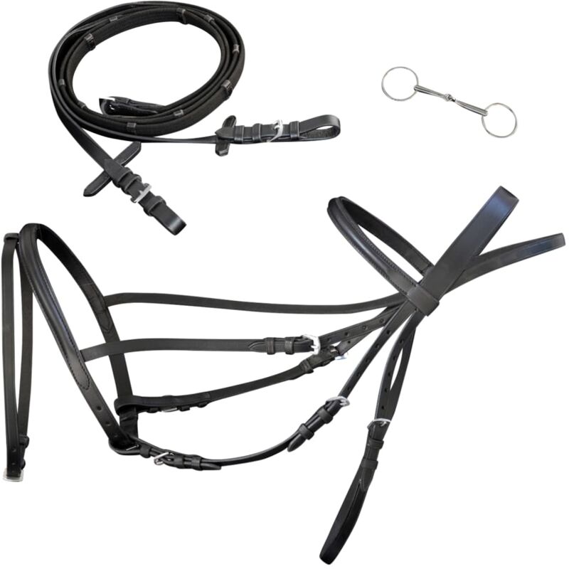 foto del prodotto vidaxl briglie in pelle con redini e morso nero per pony