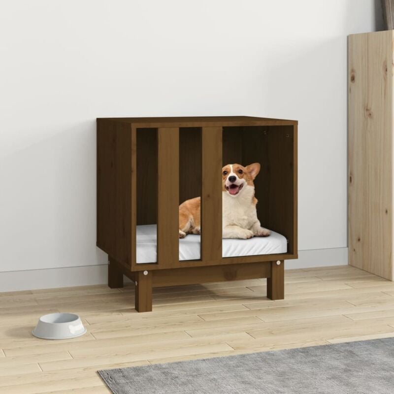 foto del prodotto vidaxl casetta per cani ambra 50x40x52 cm in legno massello di pino
