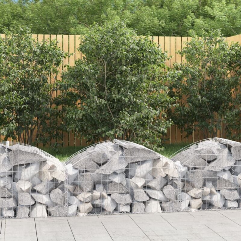 foto del prodotto vidaxl cesto gabbione ad arco 100x50x40 60 cm ferro zincato