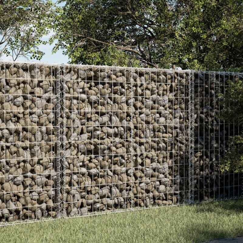 foto del prodotto vidaxl cesto gabbione con copertura 100x50x100 cm in ferro zincato