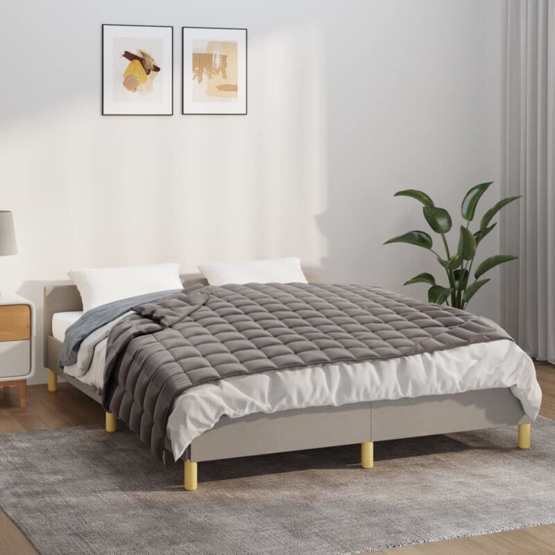 foto del prodotto vidaxl coperta ponderata grigia 135x200 cm 10 kg tessuto