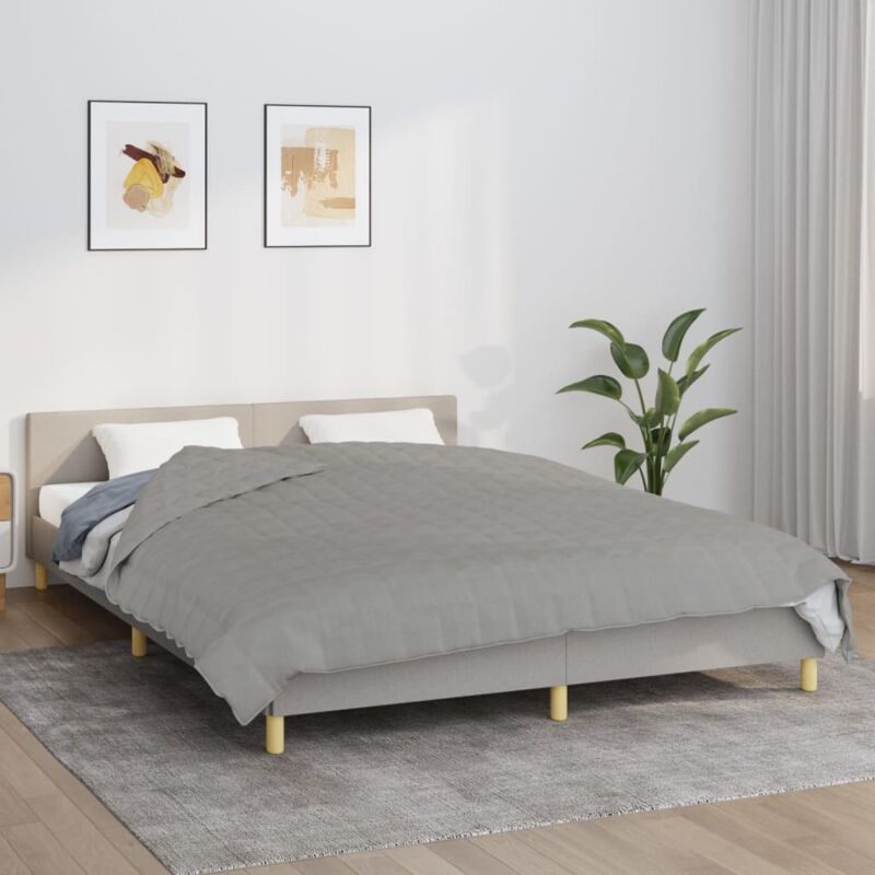 foto del prodotto vidaxl coperta ponderata grigia 200x220 cm 13 kg tessuto 237181