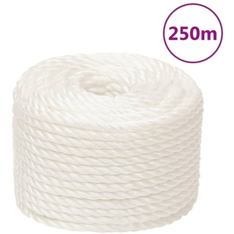 foto del prodotto vidaxl corda da lavoro bianca 10 mm 250 m in polipropilene