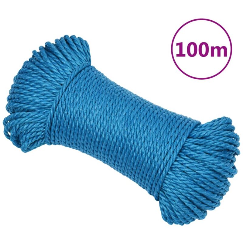 foto del prodotto vidaxl corda da lavoro blu 3 mm 100 m in polipropilene