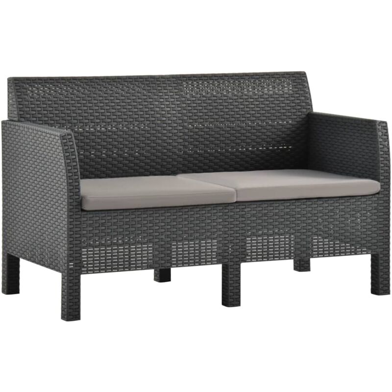 foto del prodotto vidaxl divano da giardino 2 posti con cuscini in rattan pp antracite