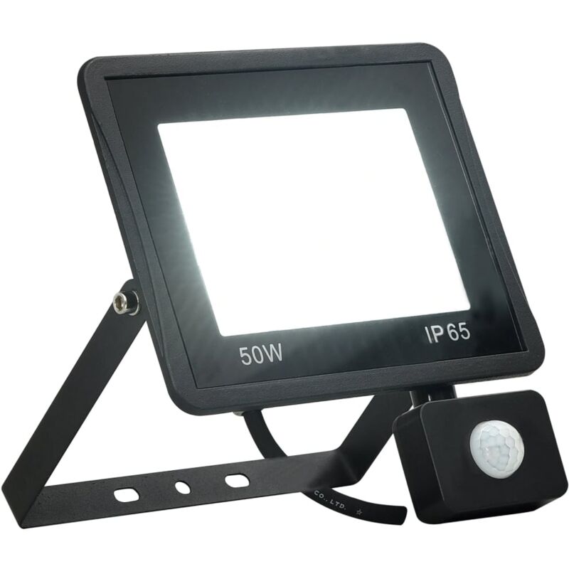 foto del prodotto vidaxl faretto a led con sensore 50 w bianco freddo