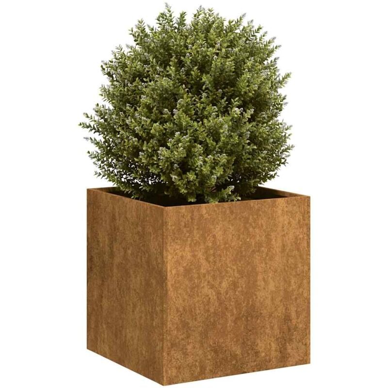foto del prodotto vidaxl fioriera arrugginita 40x40x40 cm in acciaio corten