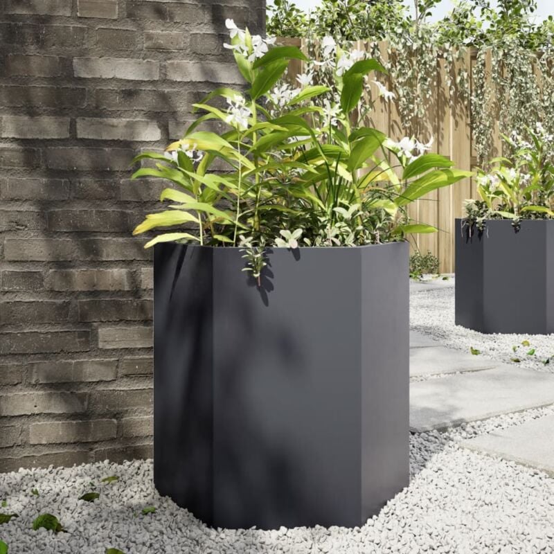 foto del prodotto vidaxl fioriera da giardino antracite esagono 46x40x45 cm in acciaio