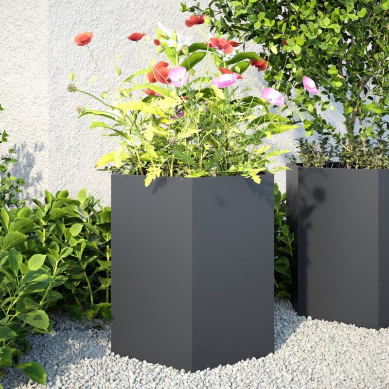 foto del prodotto vidaxl fioriere da giardino 2 pz antracite esagono 46x40x45 cm acciaio