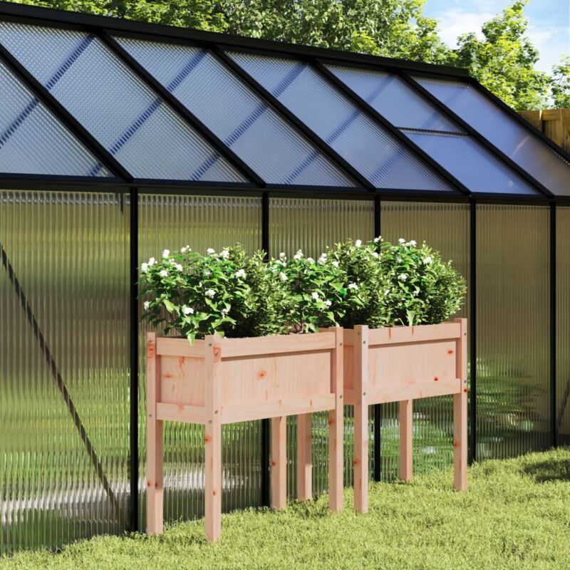 foto del prodotto vidaxl fioriere da giardino 2 pz con gambe legno massello di douglas 945000